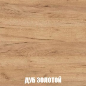 МСП-1 Шкаф 2-х створчатый (Дуб Золотой/Камень темный) в Карталах - kartaly.ok-mebel.com | фото 4