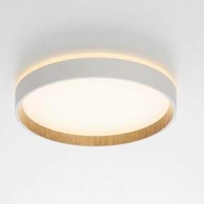 Накладной светильник Citilux Etalon CL750240 в Карталах - kartaly.ok-mebel.com | фото 12