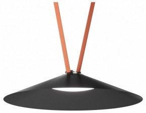Накладной светильник Denkirs Belty Flow DK5568-BK в Карталах - kartaly.ok-mebel.com | фото 2