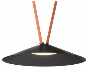 Накладной светильник Denkirs Belty Flow DK5569-BK в Карталах - kartaly.ok-mebel.com | фото 2