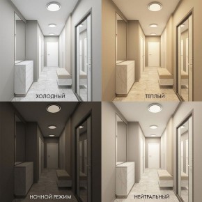 Накладной светильник Denkirs Cany DK6516-WH в Карталах - kartaly.ok-mebel.com | фото 2