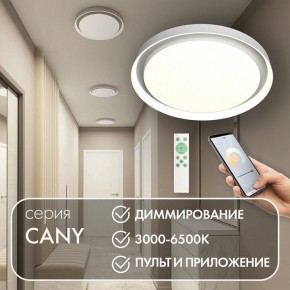 Накладной светильник Denkirs Cany DK6516-WH в Карталах - kartaly.ok-mebel.com | фото 4