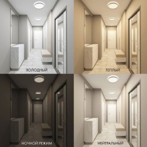 Накладной светильник Denkirs PLATO DK6510-WH в Карталах - kartaly.ok-mebel.com | фото 2