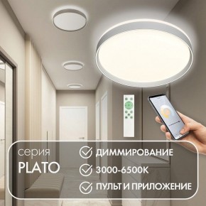 Накладной светильник Denkirs PLATO DK6511-WH/1 в Карталах - kartaly.ok-mebel.com | фото 4
