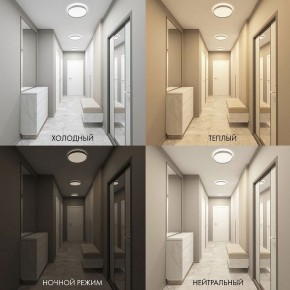 Накладной светильник Denkirs PLATO DK6511-WH/1 в Карталах - kartaly.ok-mebel.com | фото 5