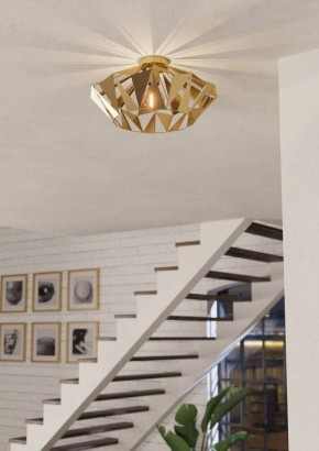 Накладной светильник Eglo Carlton 43908 в Карталах - kartaly.ok-mebel.com | фото 3