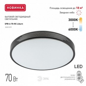 Накладной светильник Эра Классик SPB-6-70-RC Liburn в Карталах - kartaly.ok-mebel.com | фото 10
