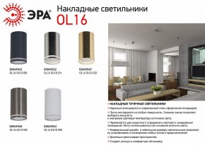 Накладной светильник Эра OL16 GU10 BK Б0049042 в Карталах - kartaly.ok-mebel.com | фото 3