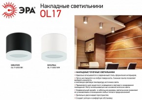 Накладной светильник Эра OL17 GX53 BK Б0049028 в Карталах - kartaly.ok-mebel.com | фото 3