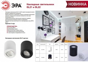 Накладной светильник Эра OL21 WH Б0054392 в Карталах - kartaly.ok-mebel.com | фото 2