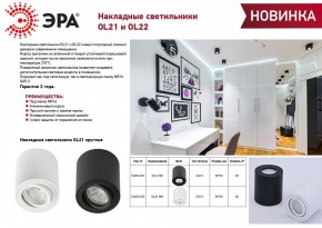 Накладной светильник Эра OL22 BK Б0054395 в Карталах - kartaly.ok-mebel.com | фото 3