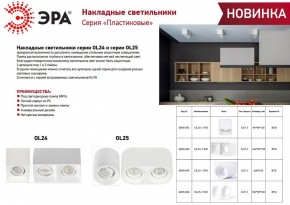 Накладной светильник Эра OL24-2 WH Б0054382 в Карталах - kartaly.ok-mebel.com | фото 2