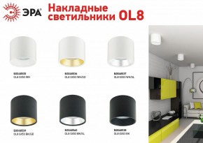 Накладной светильник Эра OL8 GX53 BK/GD Б0048539 в Карталах - kartaly.ok-mebel.com | фото 3