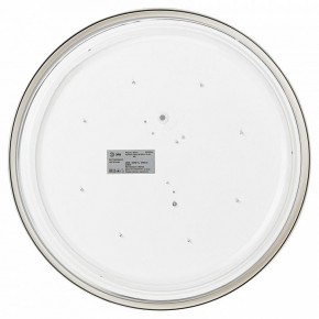 Накладной светильник Эра Relict Relict 38 SPB-6-40 4К WH в Карталах - kartaly.ok-mebel.com | фото 4