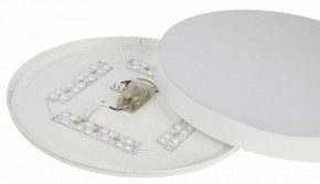 Накладной светильник Эра Relict Relict 48 Pult SPB-6-60-RC WH в Карталах - kartaly.ok-mebel.com | фото 11