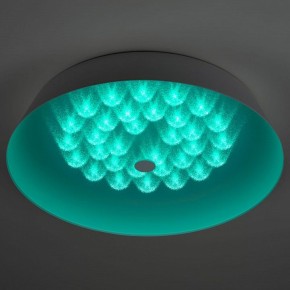 Накладной светильник Эра  SPB-6-60-RC Locus RGB в Карталах - kartaly.ok-mebel.com | фото 8