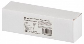 Накладной светильник Эра  TRM-S5-1-6W4K-WH в Карталах - kartaly.ok-mebel.com | фото 6