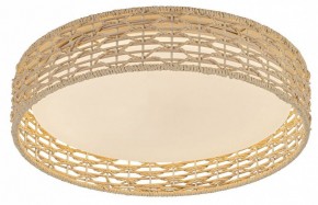 Накладной светильник F-promo Conrad 4749-4C в Карталах - kartaly.ok-mebel.com | фото 2