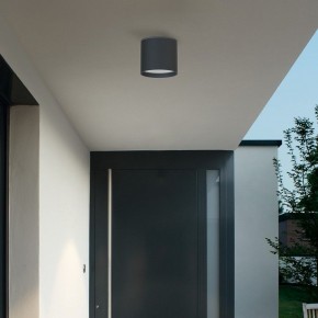 Накладной светильник Favourite Fantum 4663-1U в Карталах - kartaly.ok-mebel.com | фото 3