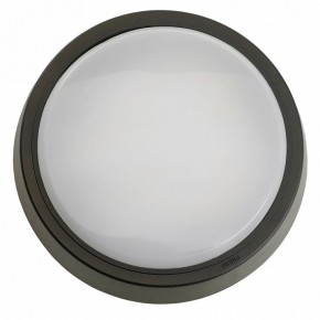 Накладной светильник Feron AL3020 51473 в Карталах - kartaly.ok-mebel.com | фото 4