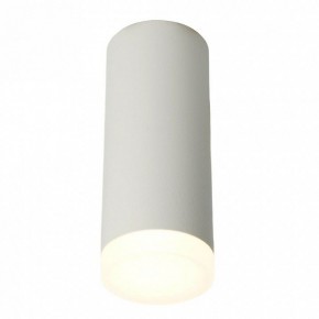 Накладной светильник Feron ML102 51389 в Карталах - kartaly.ok-mebel.com | фото 2