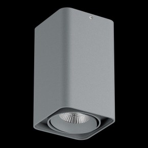 Накладной светильник Lightstar Monocco 052139-IP65 в Карталах - kartaly.ok-mebel.com | фото 2