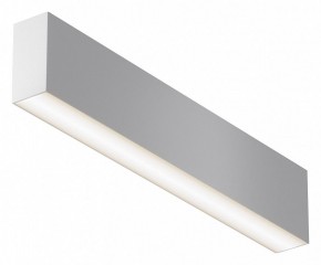 Накладной светильник Maytoni Basis C068CL-20W3-6K-W в Карталах - kartaly.ok-mebel.com | фото