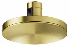 Накладной светильник Maytoni Plato TR152-1-7W4K-BS в Карталах - kartaly.ok-mebel.com | фото
