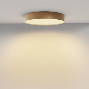 Накладной светильник Maytoni Zon C032CL-45W2.7K-RD-MG в Карталах - kartaly.ok-mebel.com | фото 4