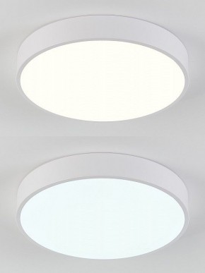 Накладной светильник Natali Kovaltseva  LED LAMPS 81111/5C в Карталах - kartaly.ok-mebel.com | фото 4