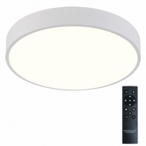 Накладной светильник Natali Kovaltseva  LED LAMPS 81112/5C в Карталах - kartaly.ok-mebel.com | фото 2