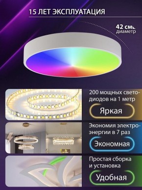Накладной светильник Natali Kovaltseva MODERN LED LAMPS 81105/1C в Карталах - kartaly.ok-mebel.com | фото 6