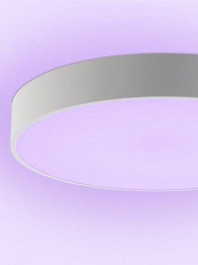 Накладной светильник Natali Kovaltseva MODERN LED LAMPS 81105/1C в Карталах - kartaly.ok-mebel.com | фото 9