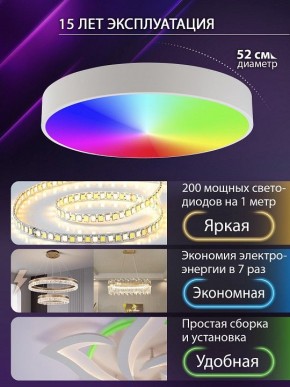 Накладной светильник Natali Kovaltseva MODERN LED LAMPS 81105/2C в Карталах - kartaly.ok-mebel.com | фото 6