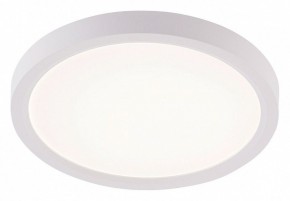Накладной светильник Natali Kovaltseva PLAIN LED LAMPS 81113/1C в Карталах - kartaly.ok-mebel.com | фото