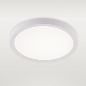 Накладной светильник Natali Kovaltseva PLAIN LED LAMPS 81113/1C в Карталах - kartaly.ok-mebel.com | фото 2