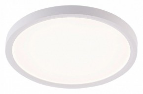 Накладной светильник Natali Kovaltseva PLAIN LED LAMPS 81113/2C в Карталах - kartaly.ok-mebel.com | фото