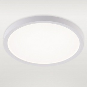 Накладной светильник Natali Kovaltseva PLAIN LED LAMPS 81113/2C в Карталах - kartaly.ok-mebel.com | фото 2