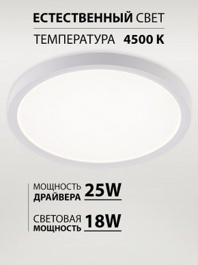 Накладной светильник Natali Kovaltseva PLAIN LED LAMPS 81113/2C в Карталах - kartaly.ok-mebel.com | фото 3