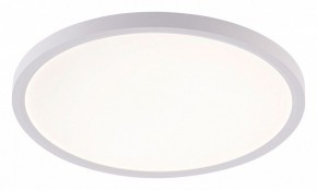 Накладной светильник Natali Kovaltseva PLAIN LED LAMPS 81113/3C в Карталах - kartaly.ok-mebel.com | фото