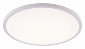 Накладной светильник Natali Kovaltseva PLAIN LED LAMPS 81113/5C в Карталах - kartaly.ok-mebel.com | фото