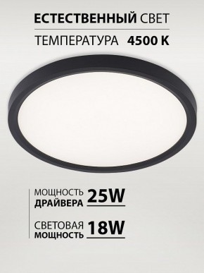 Накладной светильник Natali Kovaltseva PLAIN LED LAMPS 81114/2C в Карталах - kartaly.ok-mebel.com | фото 3