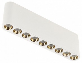 Накладной светильник Odeon Light Small 7091/21CL в Карталах - kartaly.ok-mebel.com | фото