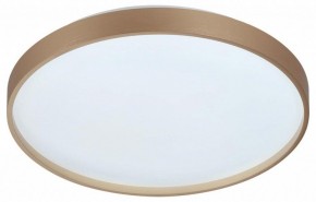 Накладной светильник Sonex Gaby 7783/DL в Карталах - kartaly.ok-mebel.com | фото 4