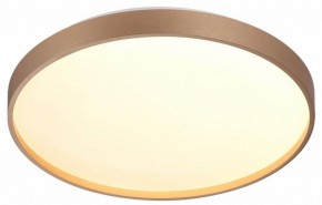 Накладной светильник Sonex Gaby 7783/DL в Карталах - kartaly.ok-mebel.com | фото 5