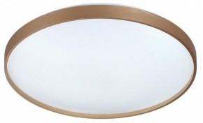 Накладной светильник Sonex Gaby 7783/EL в Карталах - kartaly.ok-mebel.com | фото 4