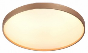 Накладной светильник Sonex Gaby 7783/EL в Карталах - kartaly.ok-mebel.com | фото 5