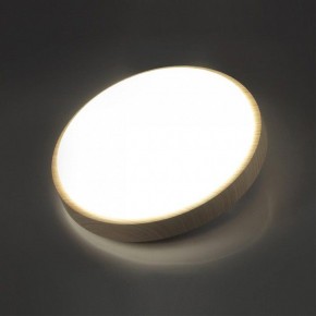 Накладной светильник Sonex Losta 7607/AL в Карталах - kartaly.ok-mebel.com | фото 3