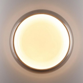 Накладной светильник Sonex PORTMAN 7777/DLN в Карталах - kartaly.ok-mebel.com | фото 6