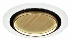 Накладной светильник Sonex Sunny 7731/80L в Карталах - kartaly.ok-mebel.com | фото